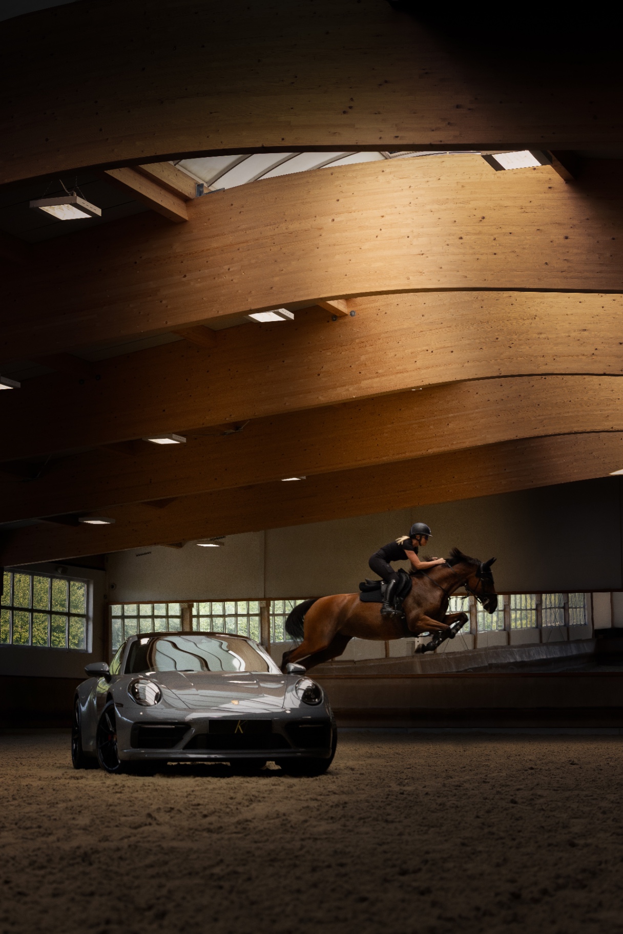Show jumping horse